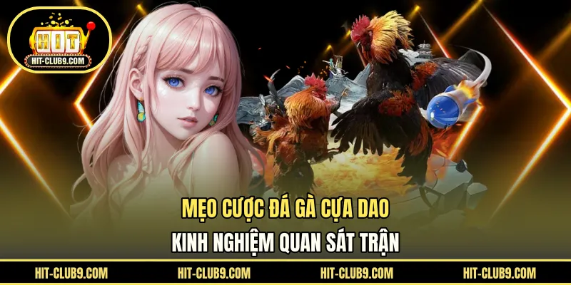 Mẹo cược đá gà cựa dao
